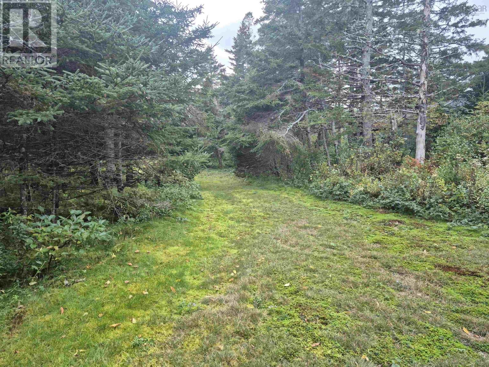 588 Isaacs Harbour Road Property Photo 32