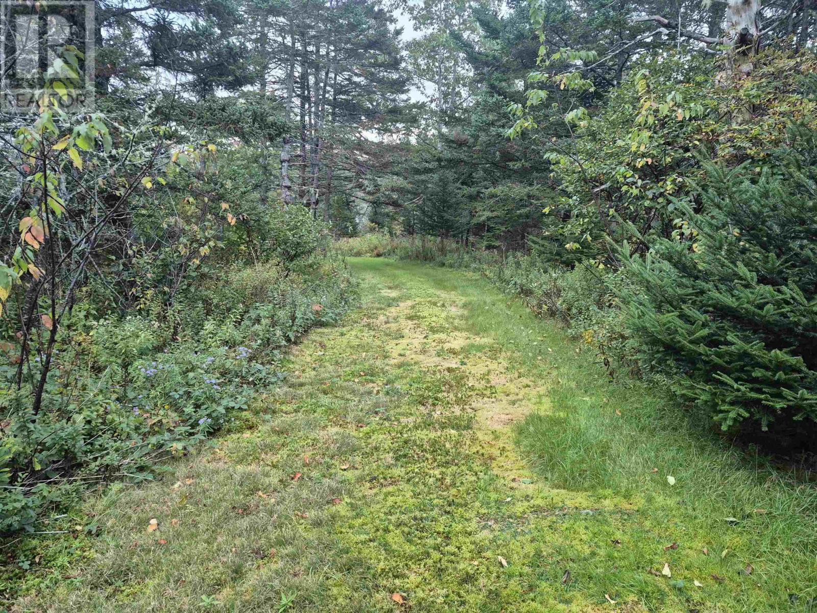 588 Isaacs Harbour Road Property Photo 33