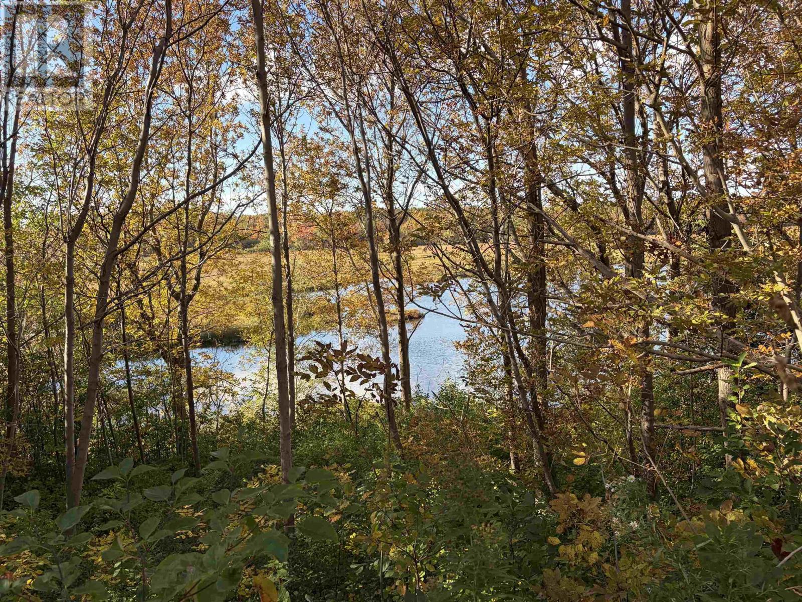 16445 Cabot Trail Property Photo 15
