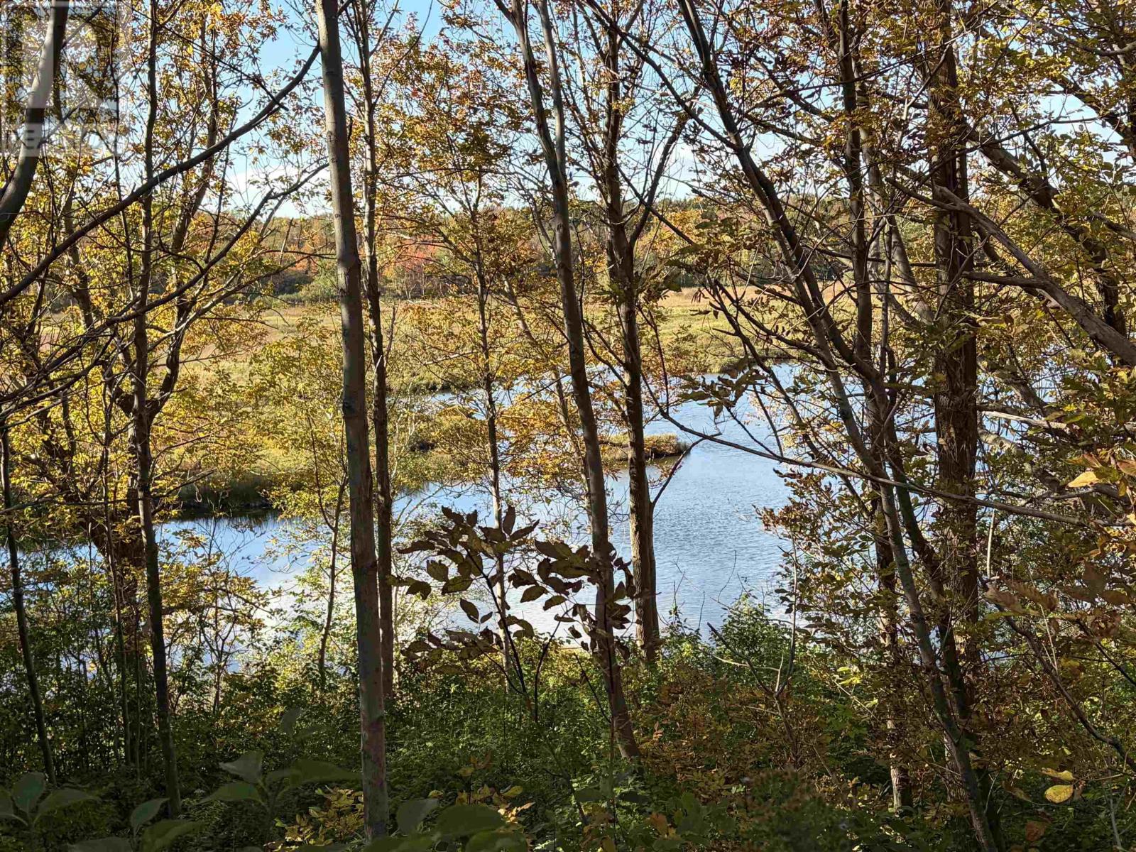 16445 Cabot Trail Property Photo 16