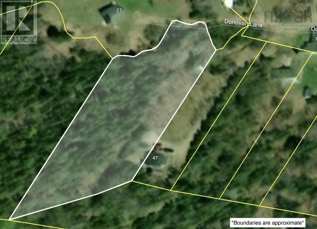 Lot 3 Cabot Trail Donovan Lane Property Photo 2