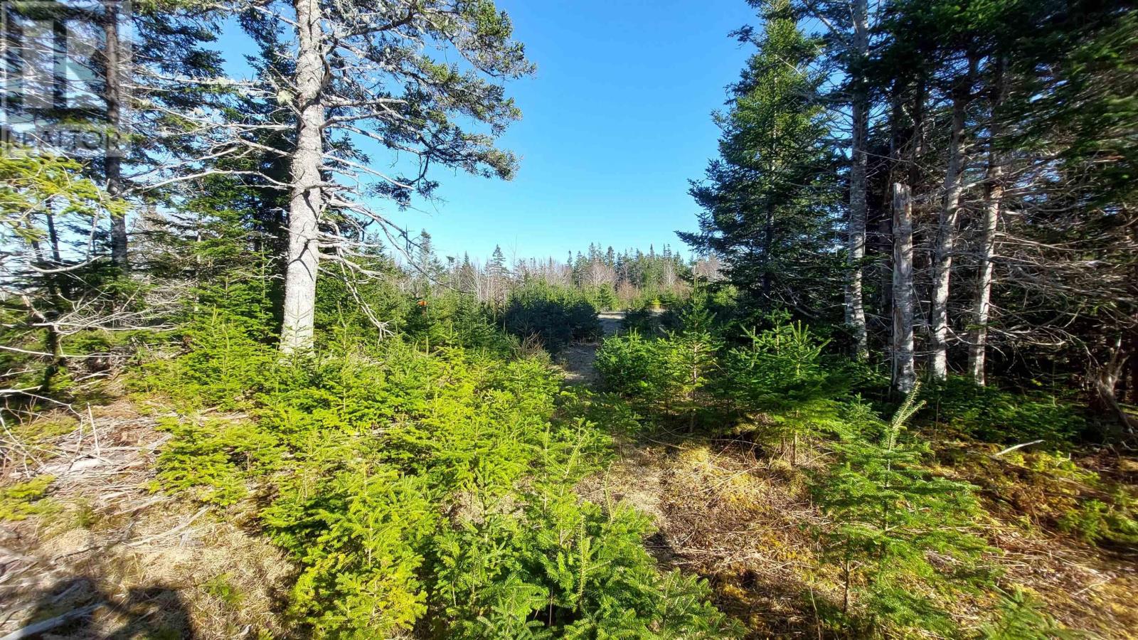 Lot 74-75 Peter Sosna Dr Property Photo 12