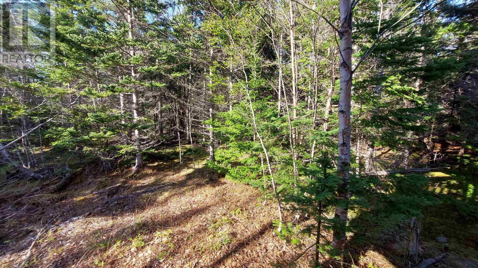 Lot 74-75 Peter Sosna Dr Property Photo 13