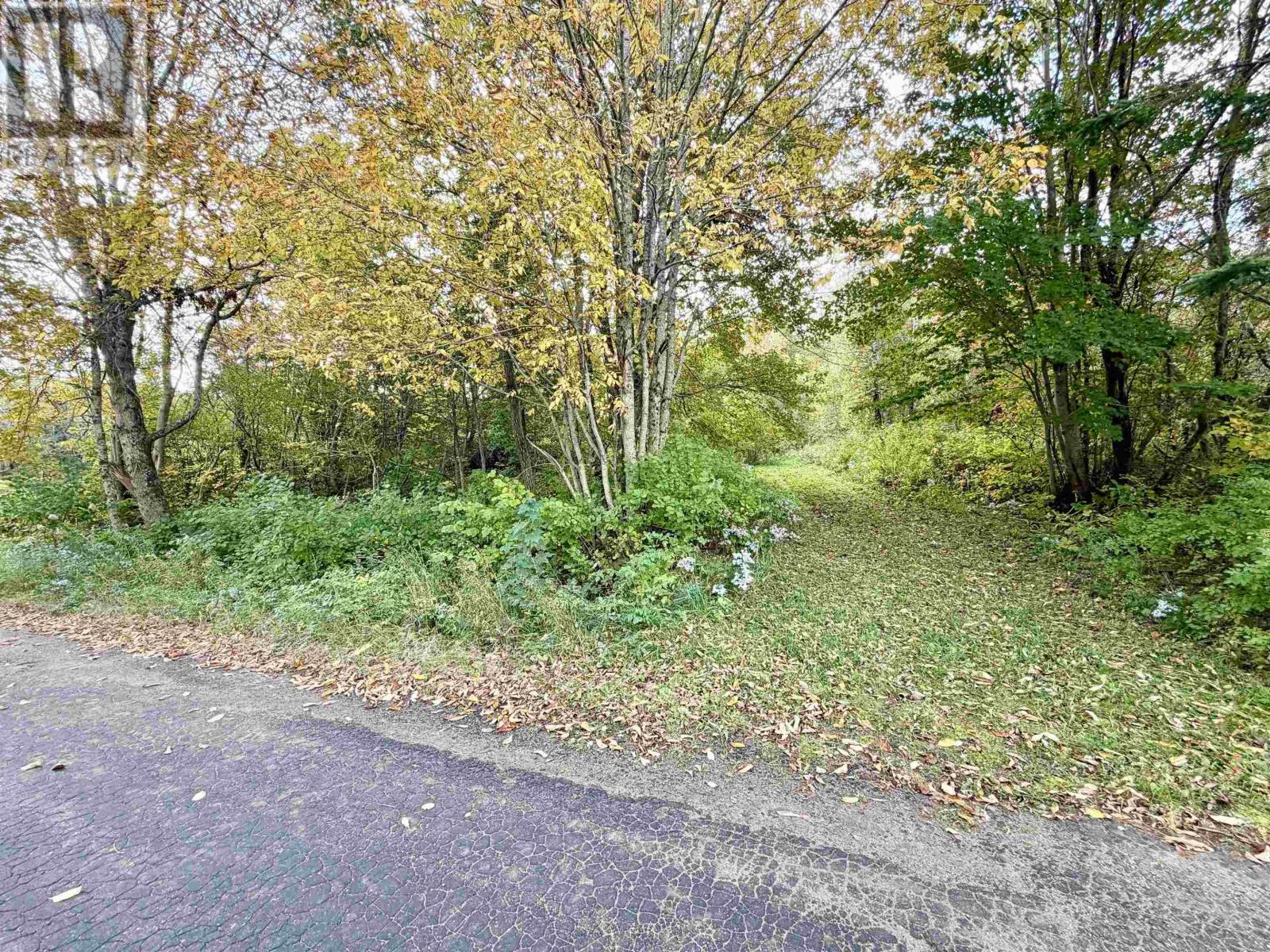 272 Welch Road Property Photo 1