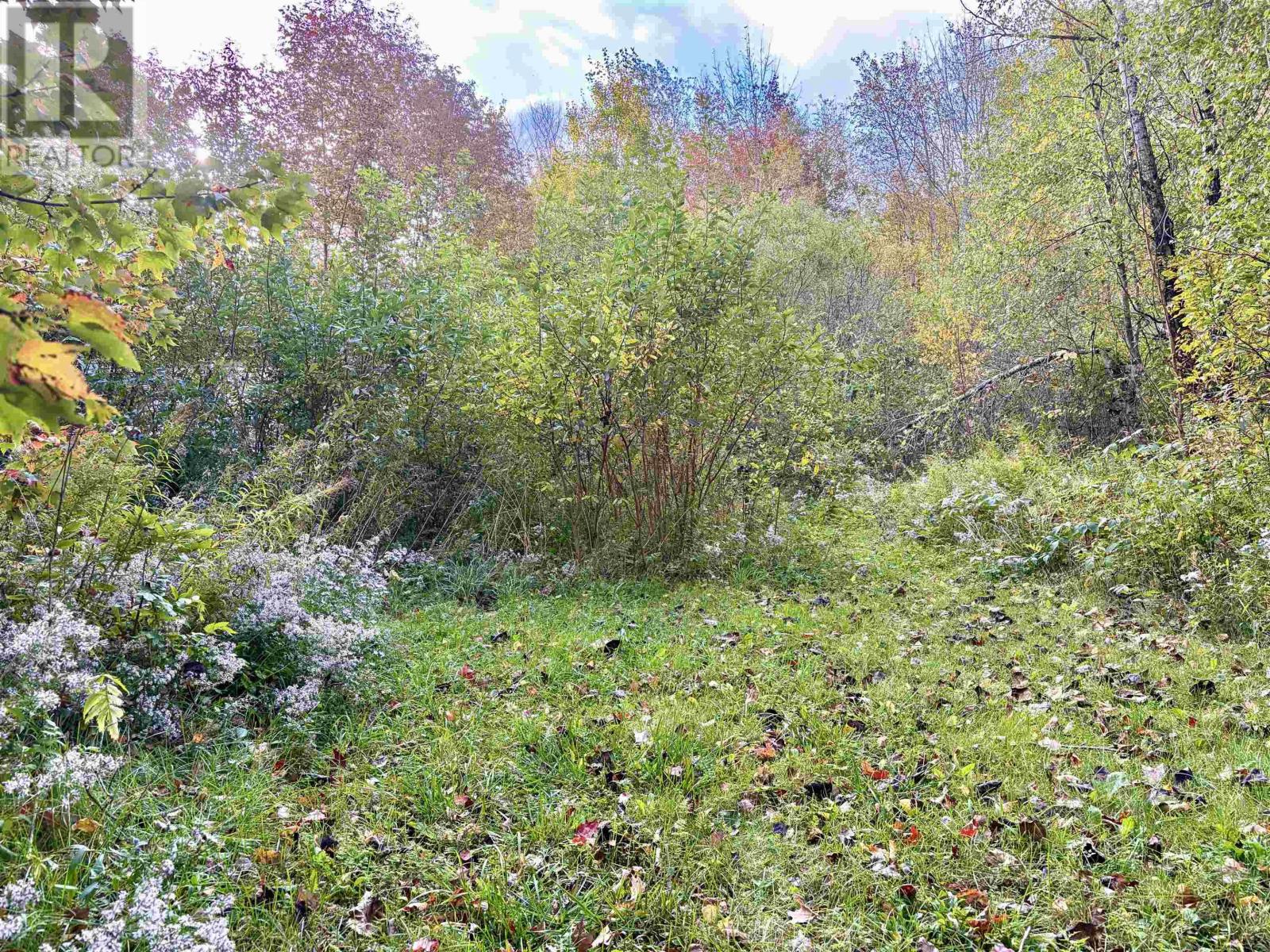 272 Welch Road Property Photo 4