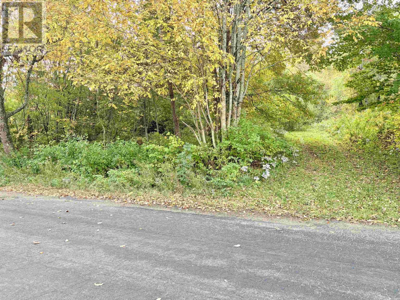 272 Welch Road Property Photo 5