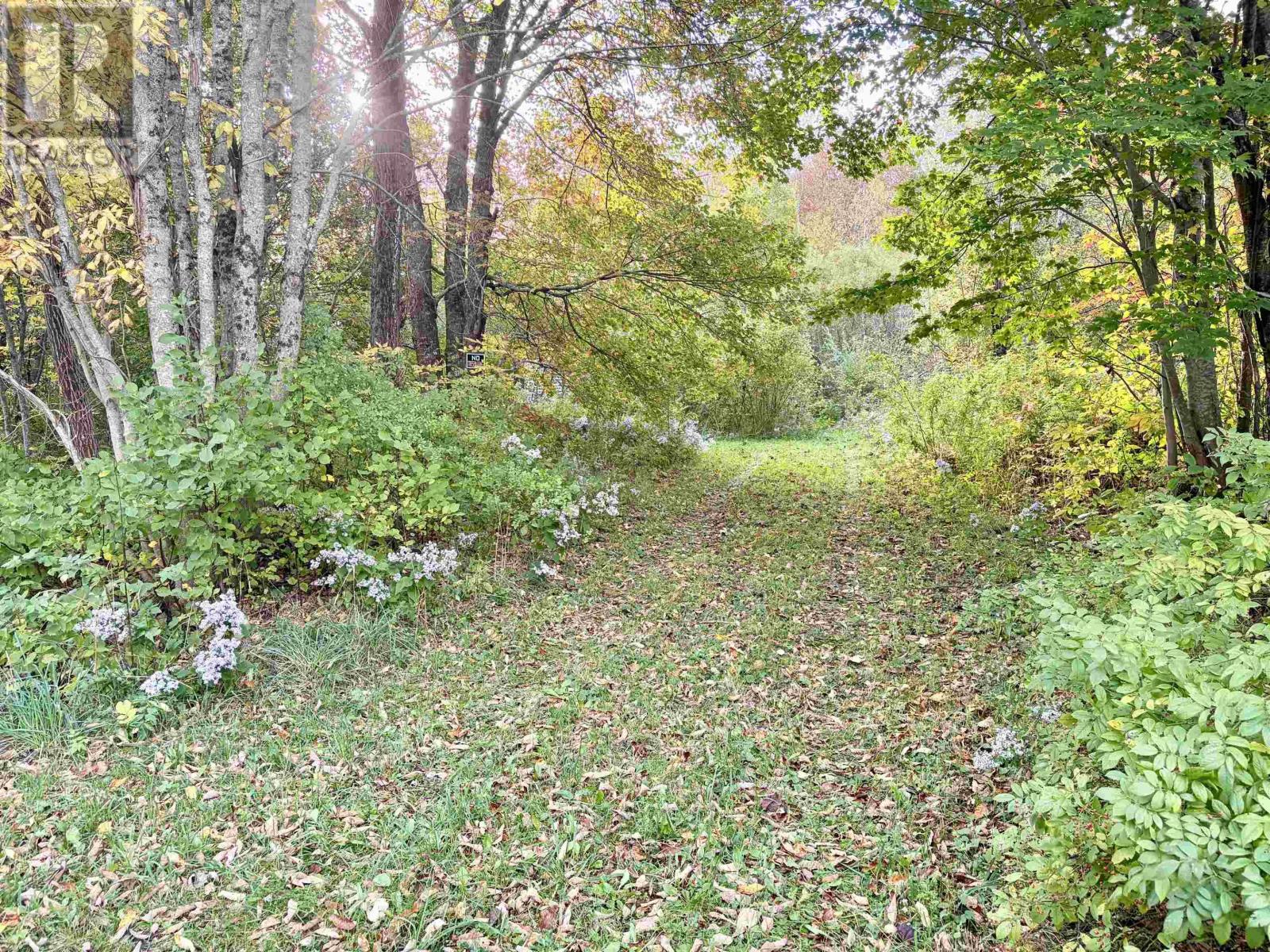 272 Welch Road Property Photo 6