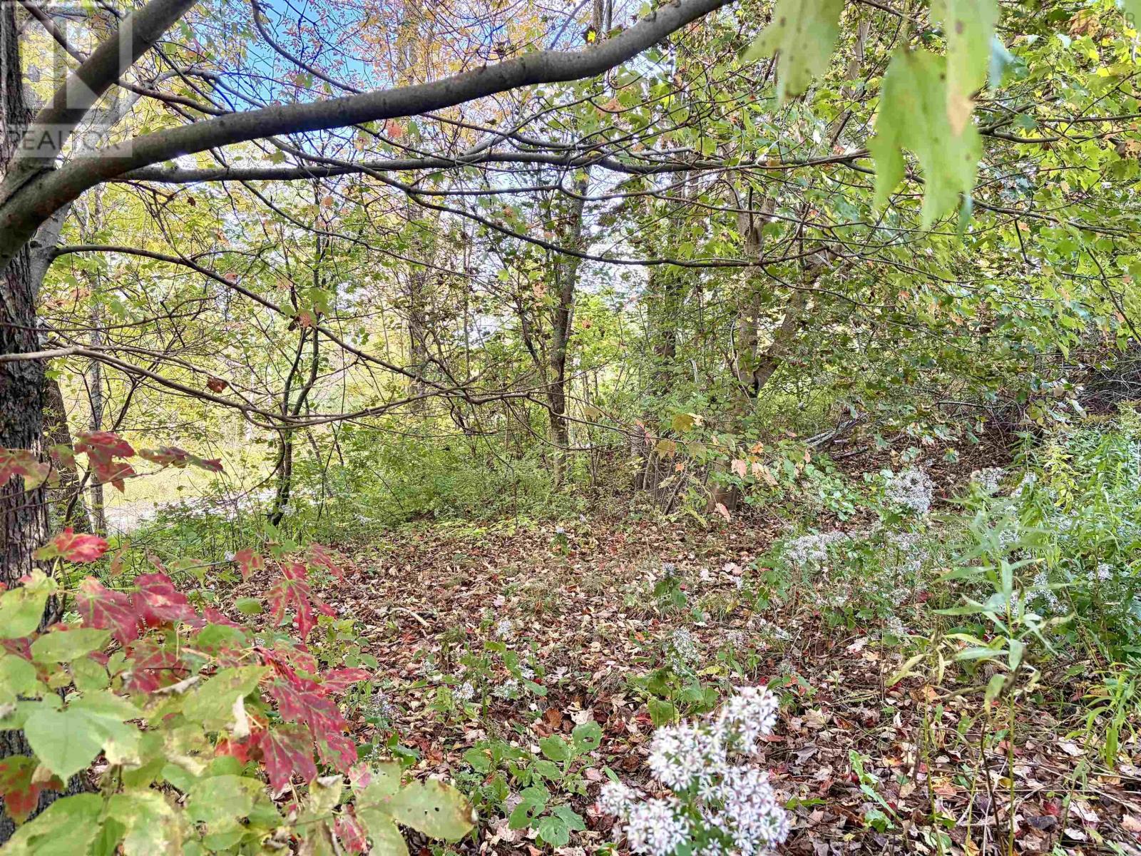 272 Welch Road Property Photo 7