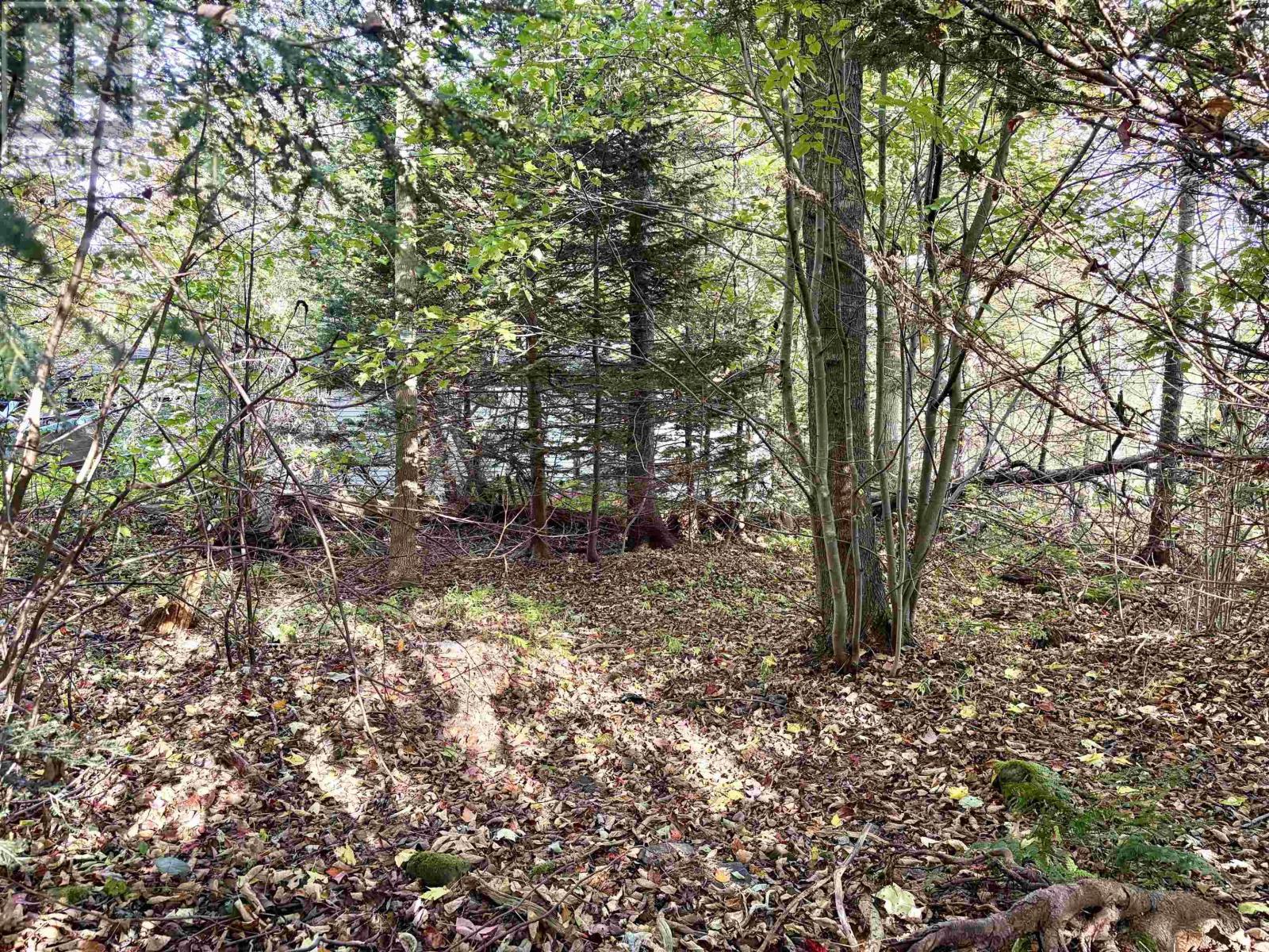 272 Welch Road Property Photo 8