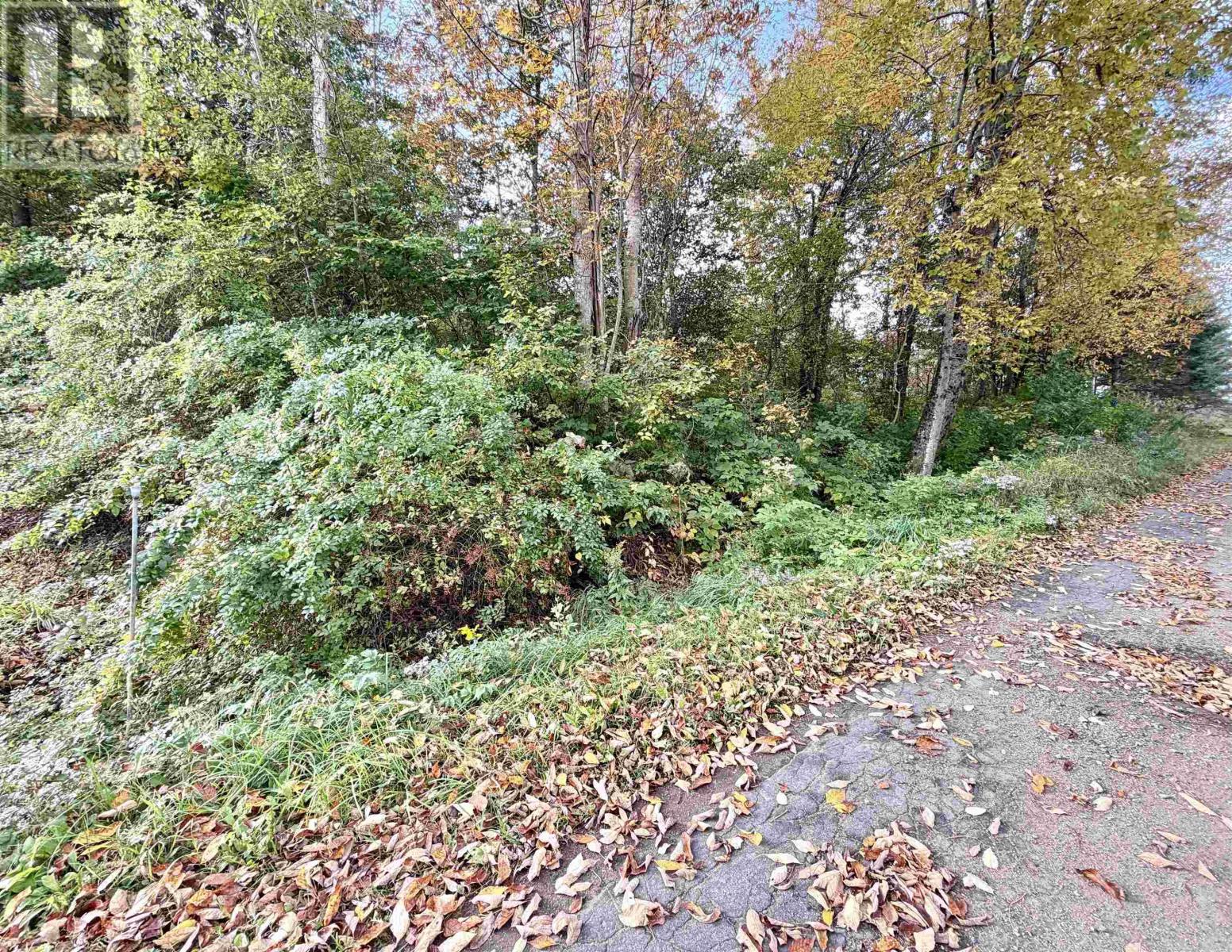 272 Welch Road Property Photo 9