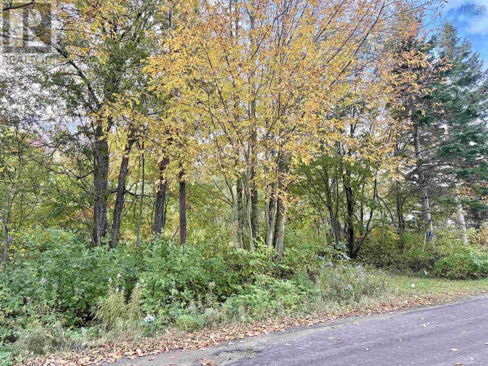272 Welch Road Property Photo 10