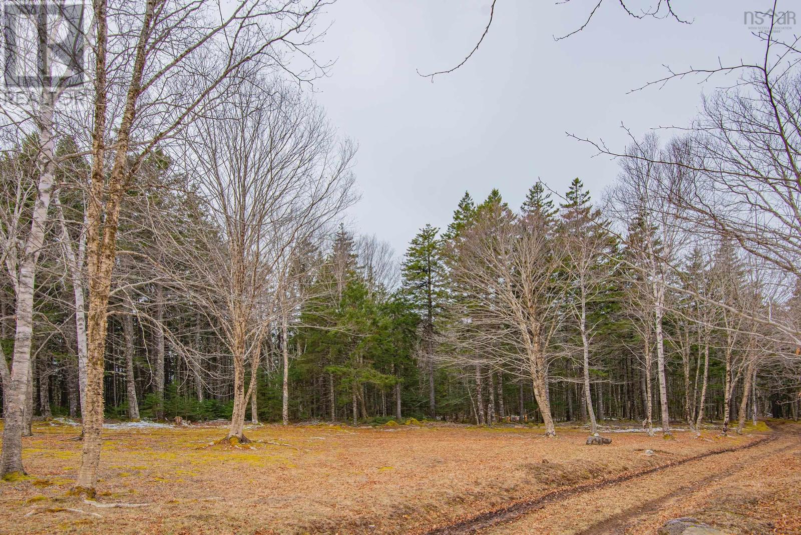 Lot, Peter Leblanc Road Property Photo 12