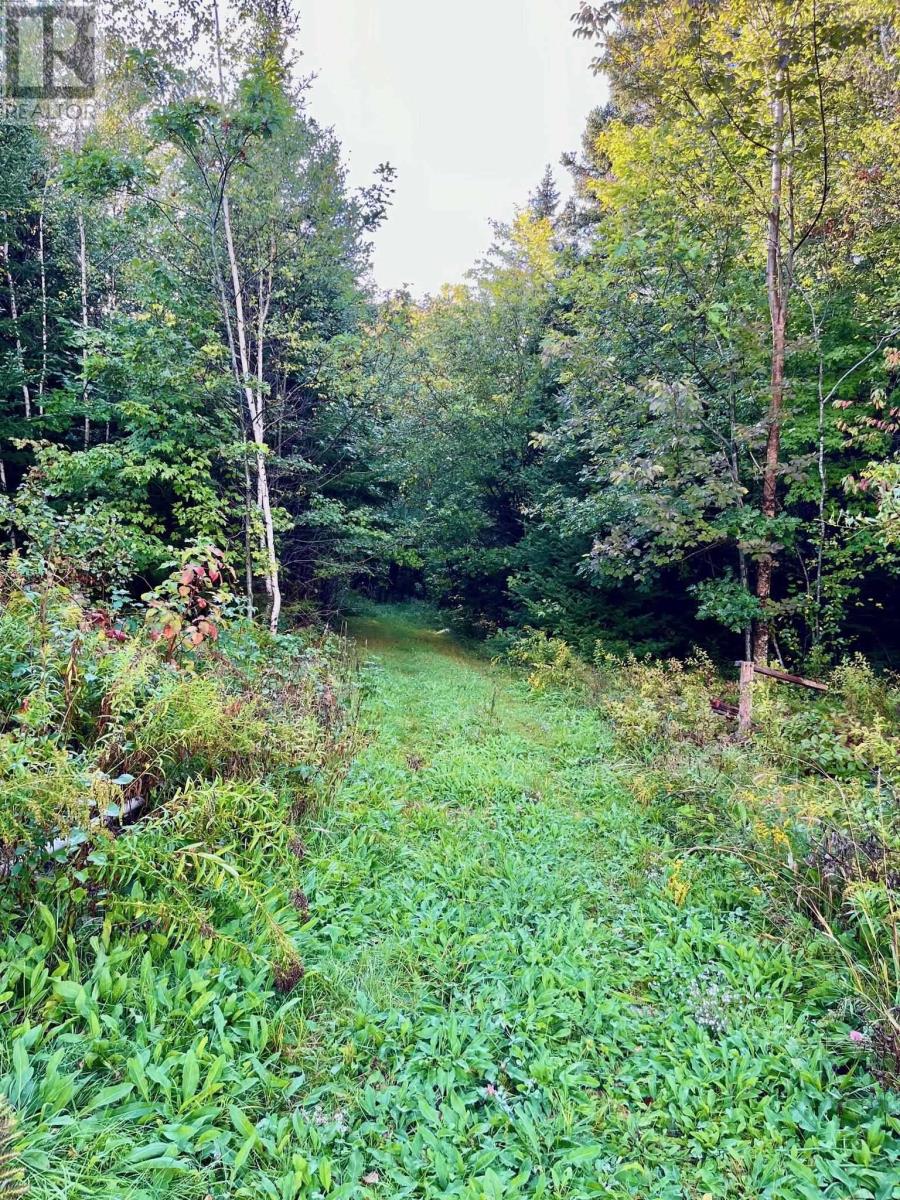 1290 Ridge Road Property Photo 11