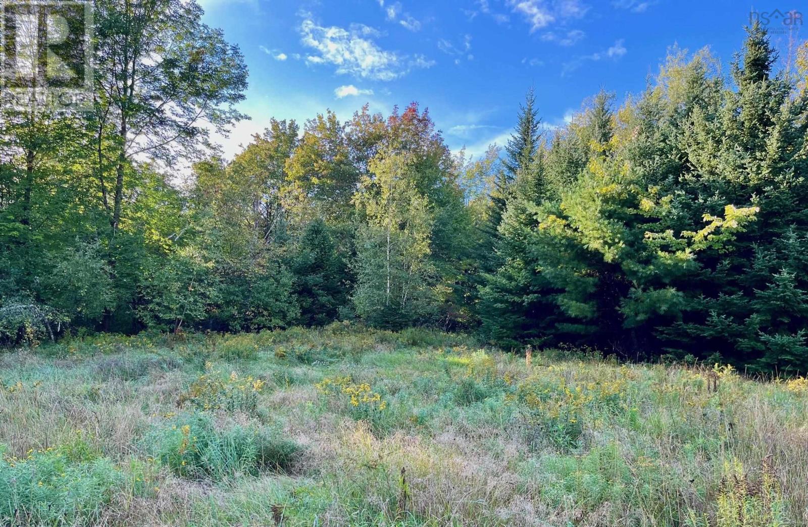 1290 Ridge Road Property Photo 14