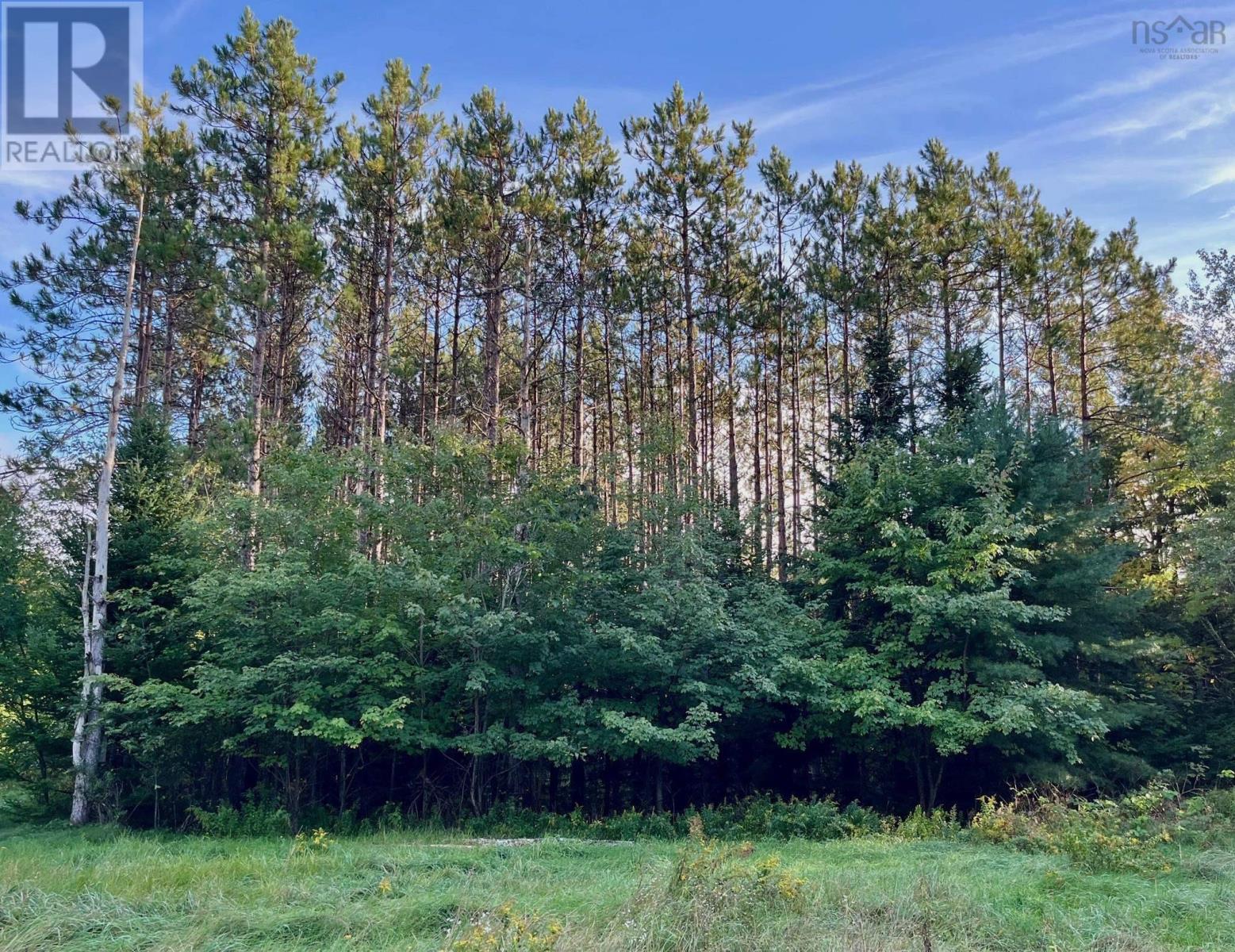 1290 Ridge Road Property Photo 15