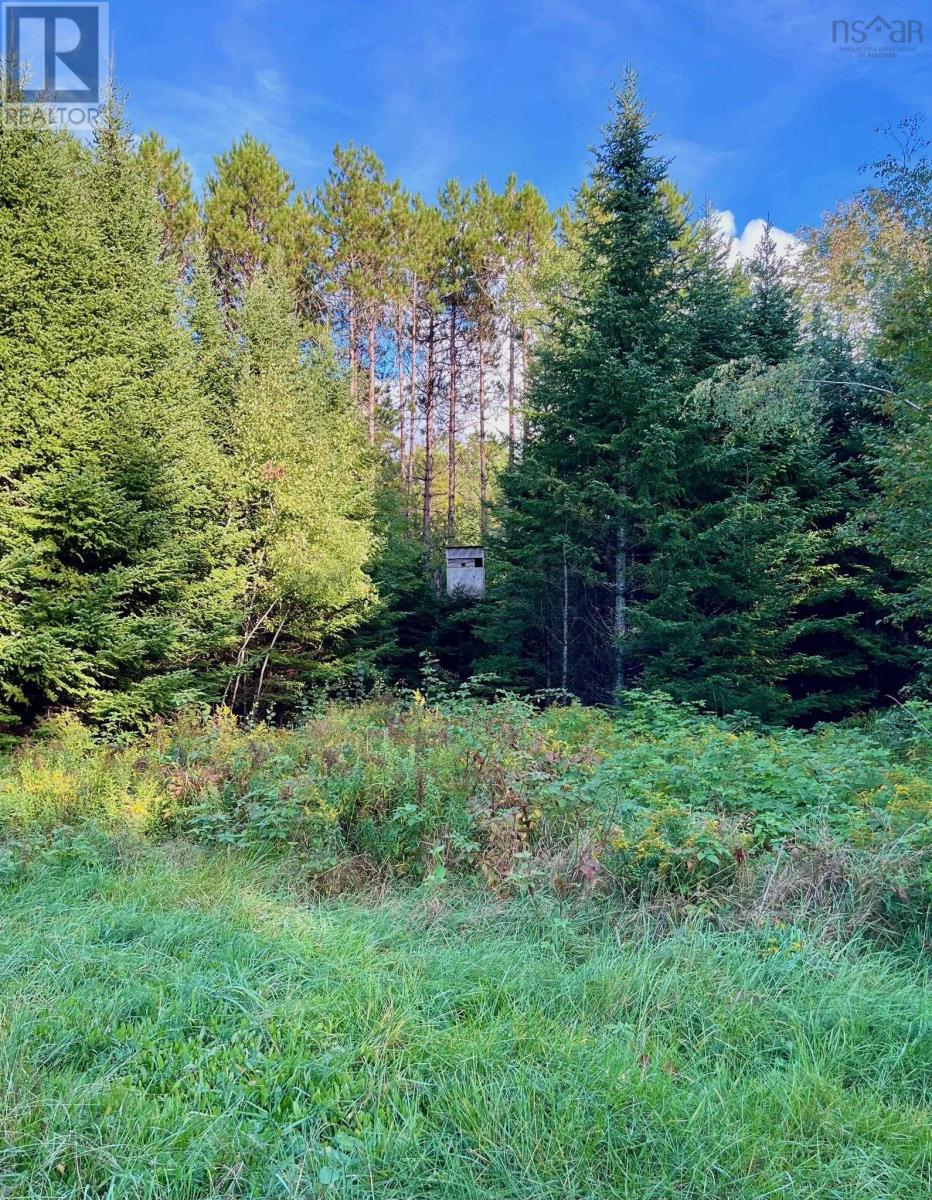 1290 Ridge Road Property Photo 16