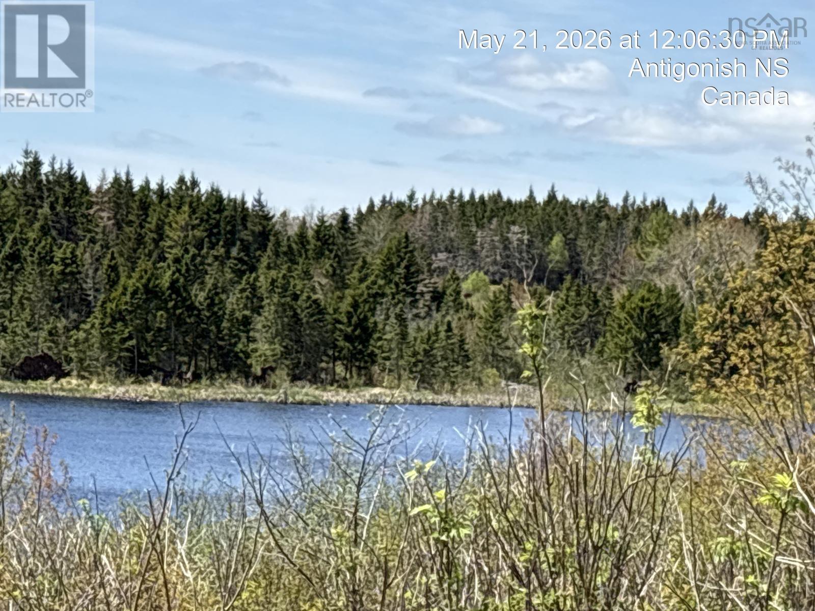 Lot Highway #7 Property Photo 15