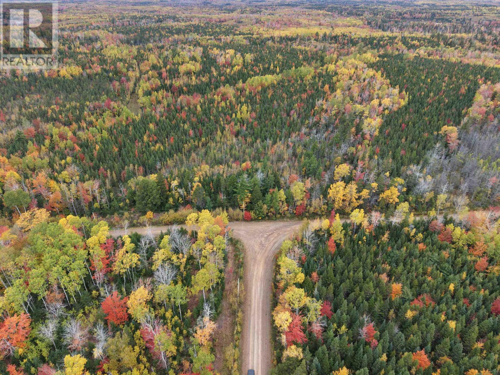 100 Acres Mitchell Swan Road Property Photo 2
