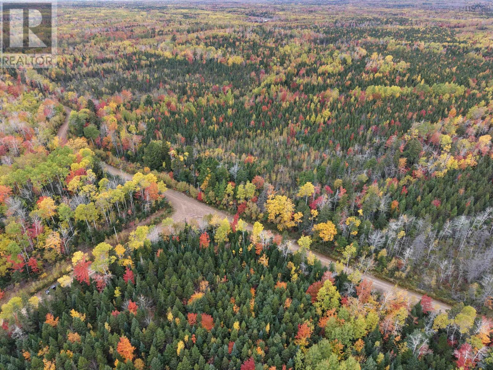 100 Acres Mitchell Swan Road Property Photo 3
