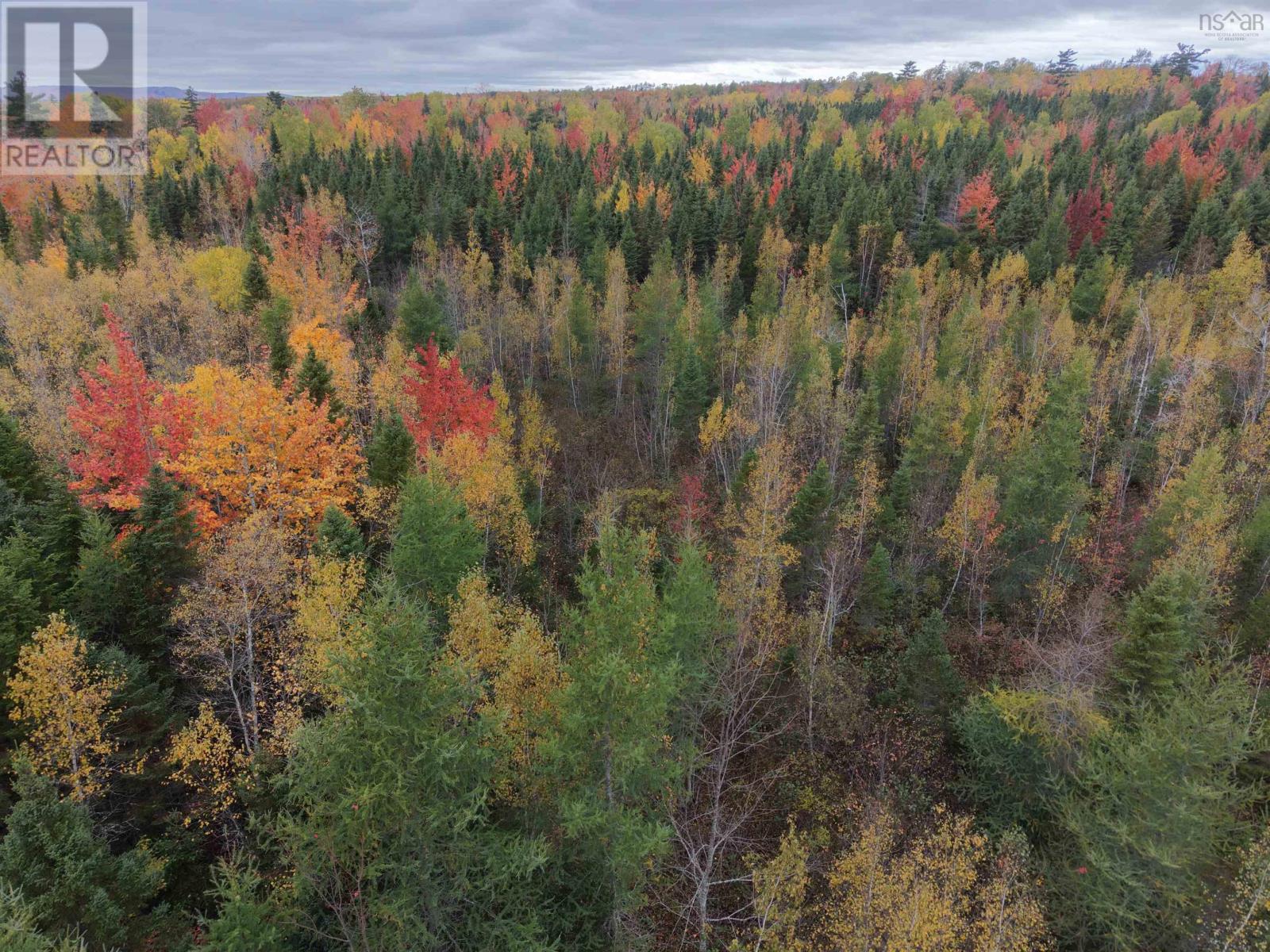 100 Acres Mitchell Swan Road Property Photo 5