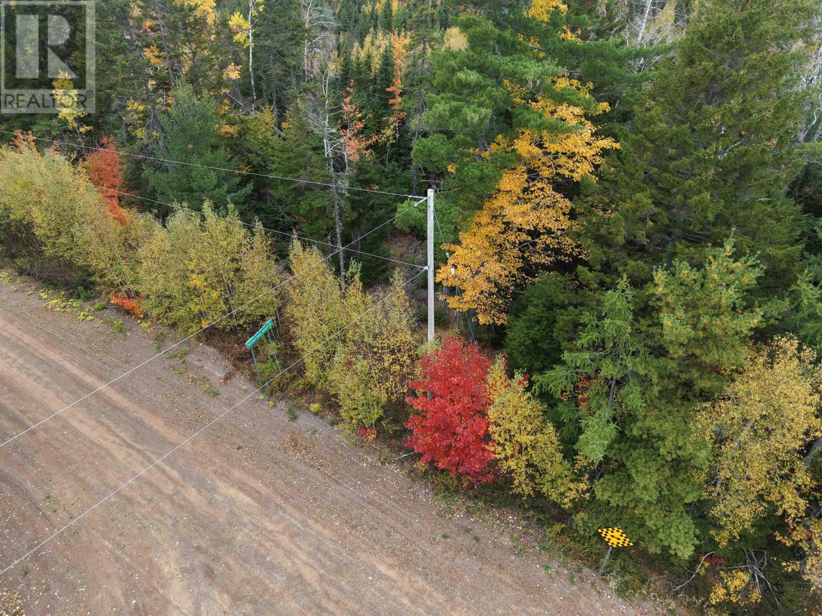 100 Acres Mitchell Swan Road Property Photo 6