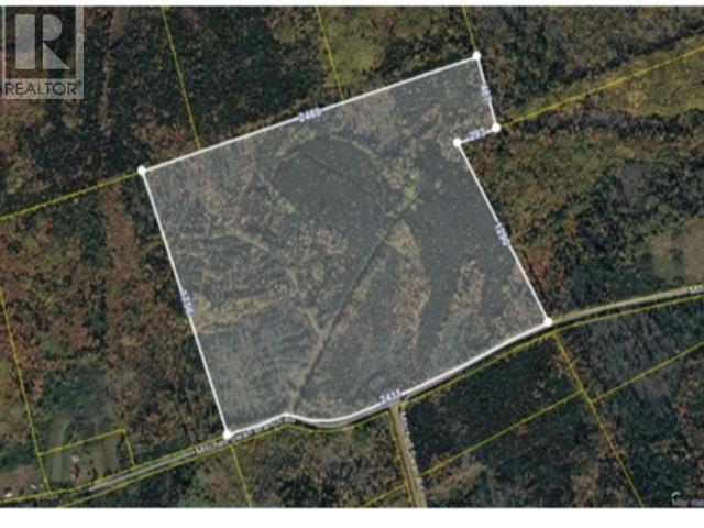 100 Acres Mitchell Swan Road Property Photo 7