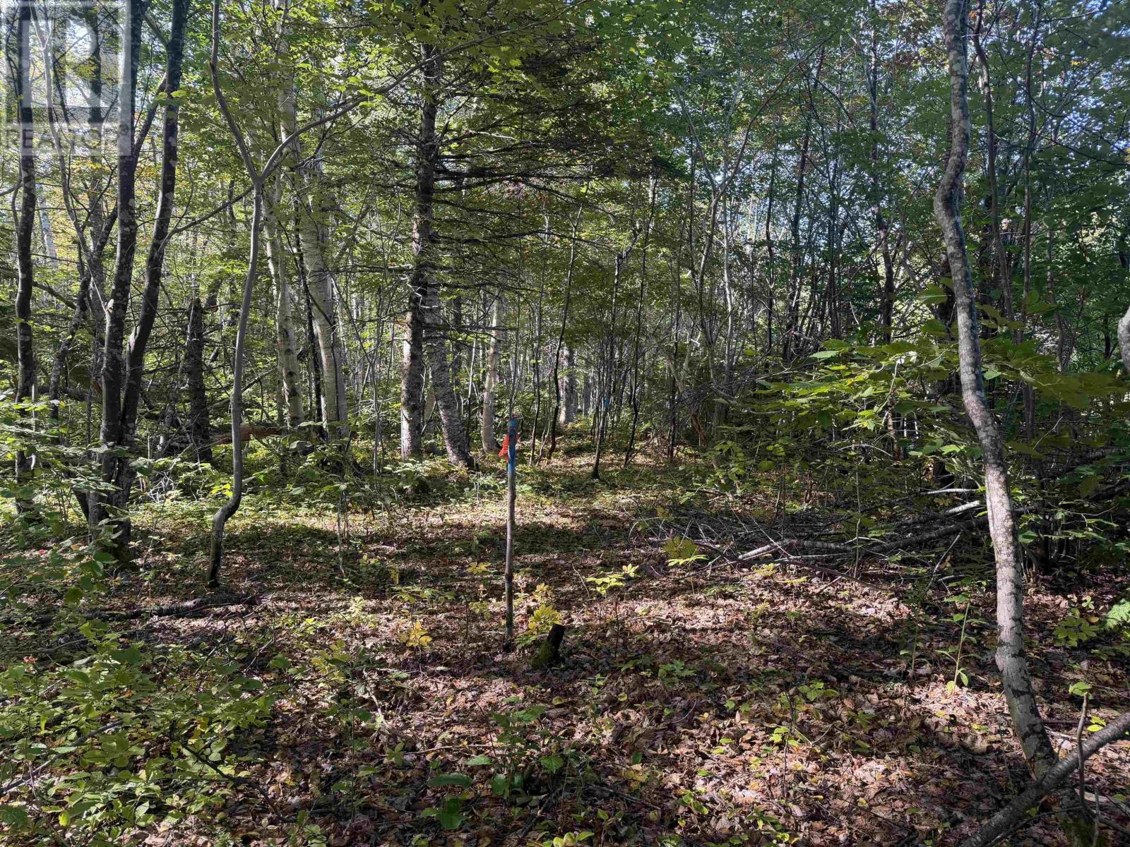 Oregon Road Property Photo 3