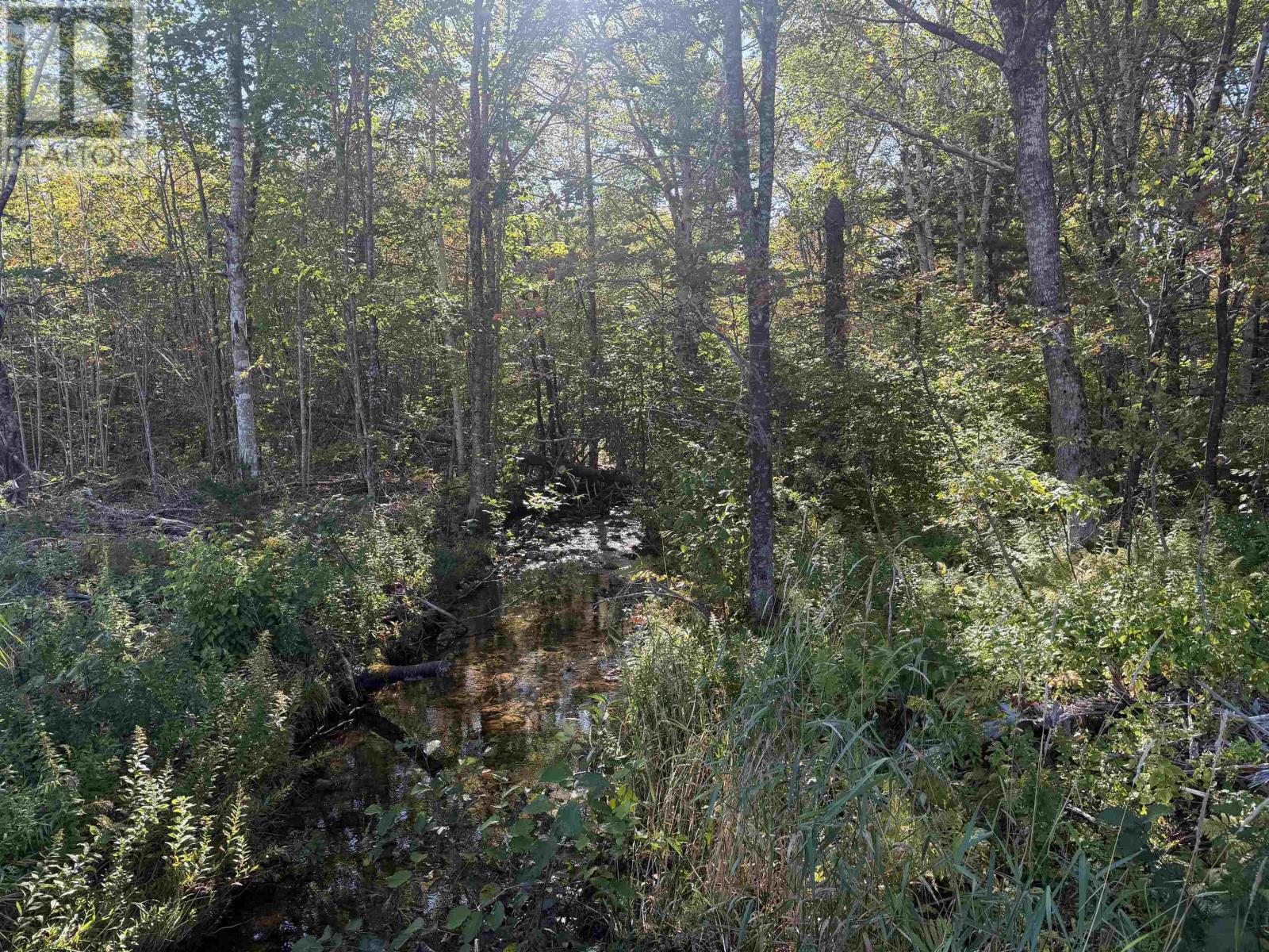 Oregon Road Property Photo 13