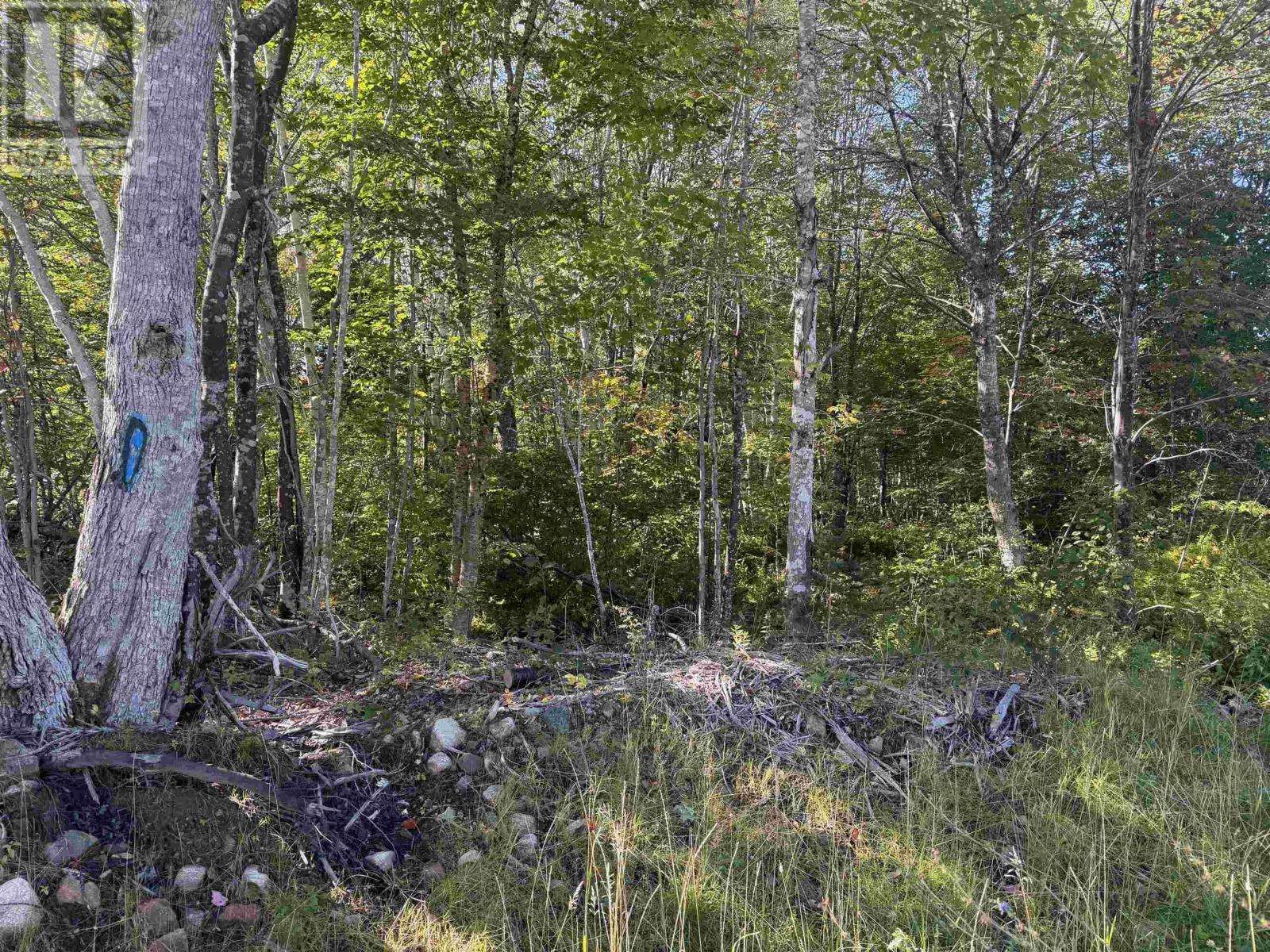 Oregon Road Property Photo 14