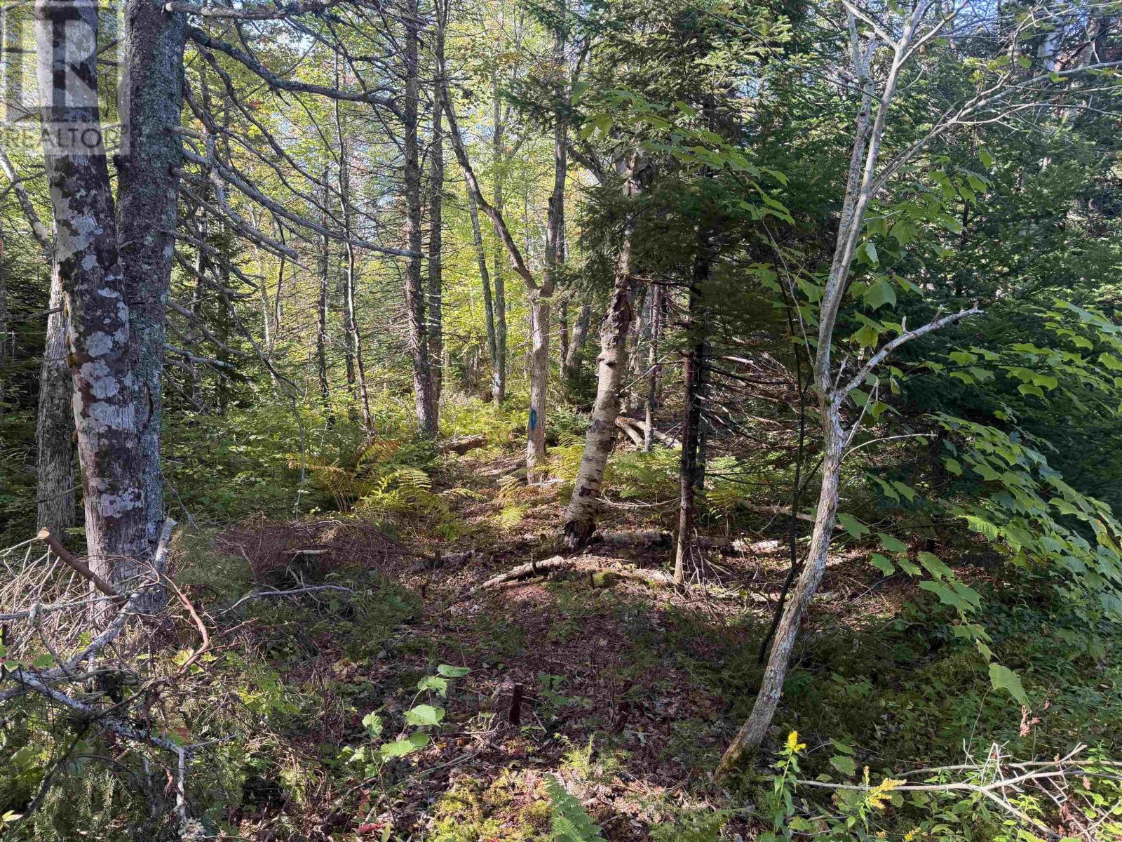 Oregon Road Property Photo 15