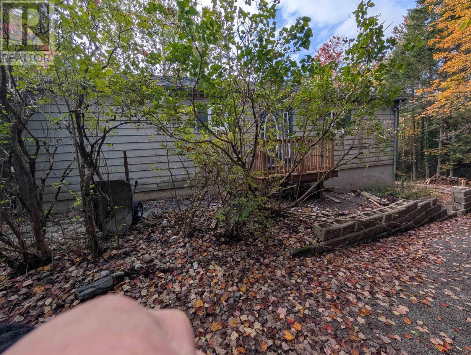 19 Foster Avenue Property Photo 7