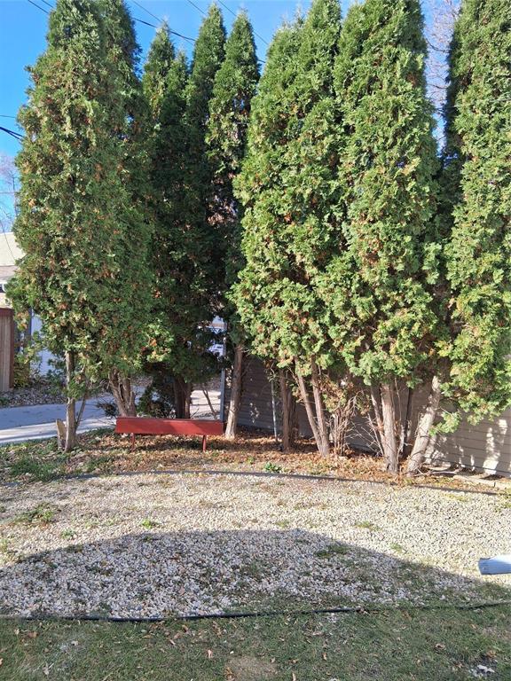 302 Woodlawn Street Property Photo 33