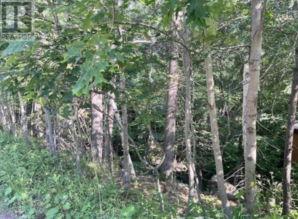 Lot C6c Purcells Cove Road Property Photo 2