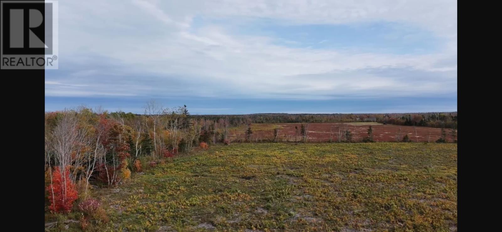 Acreage Old Lake Road Property Photo 6