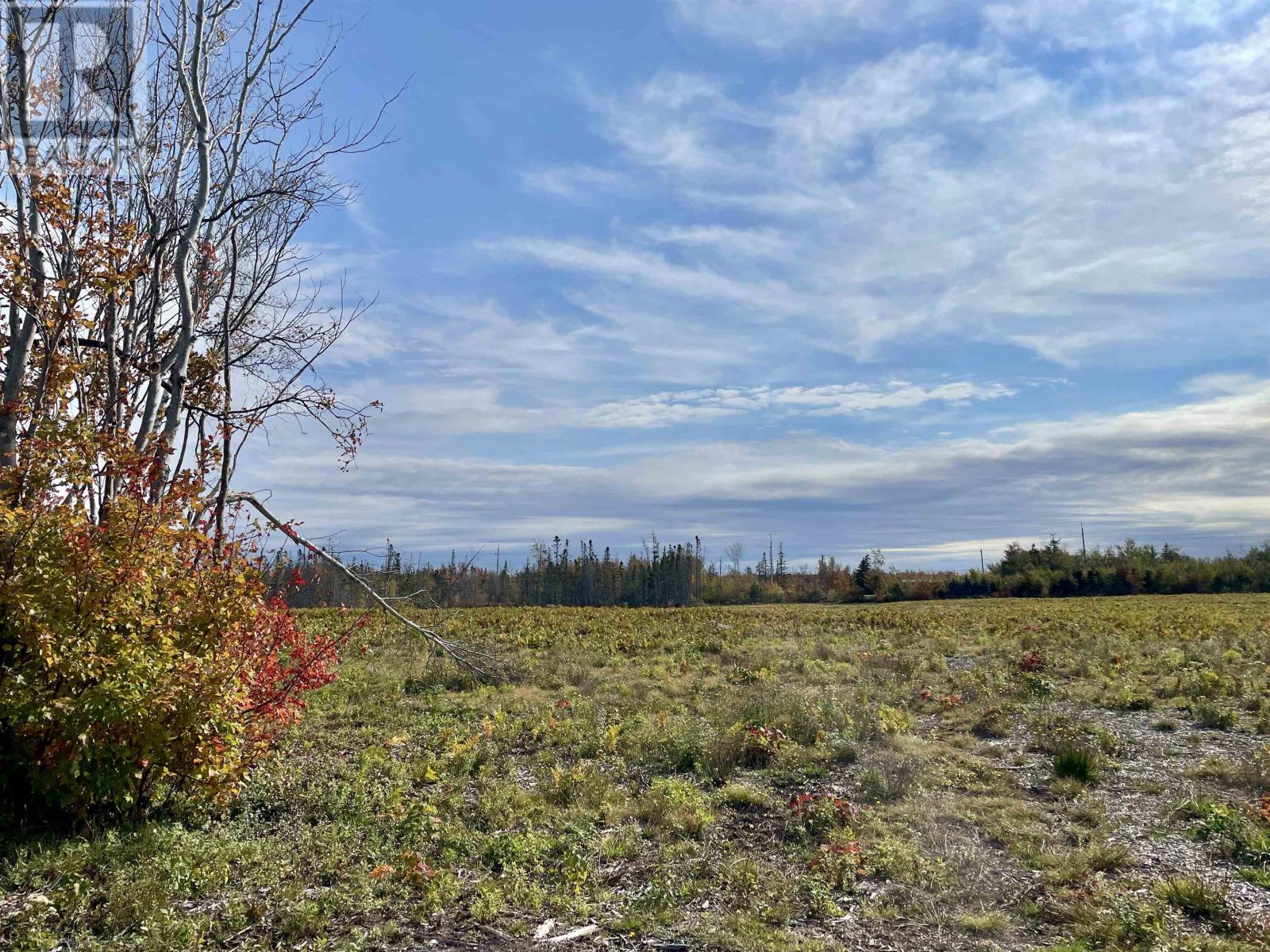Acreage Old Lake Road Property Photo 8