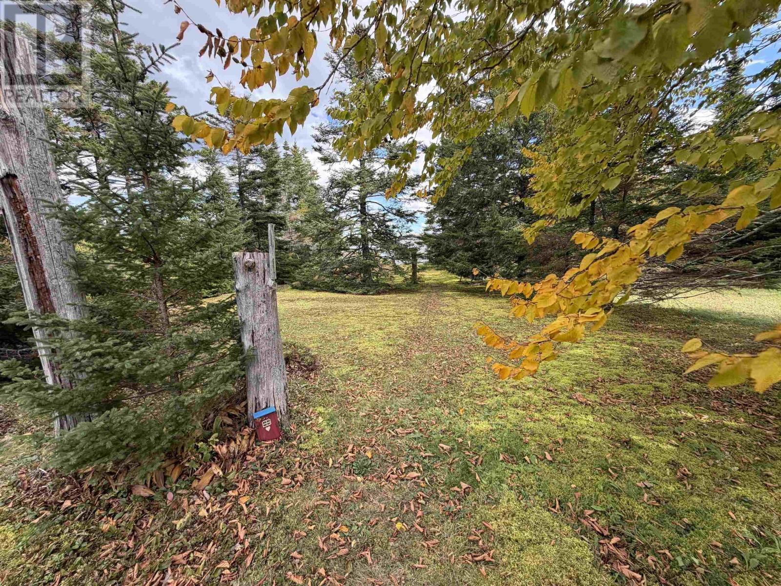 38 Burke Loop Property Photo 14