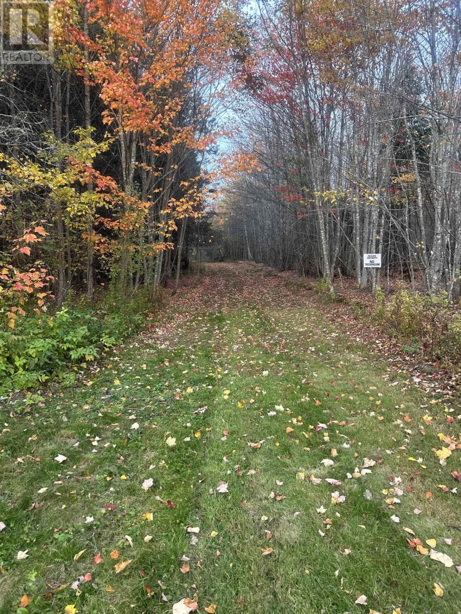 Land Highway 307 Wentworth Ns Property Photo 1