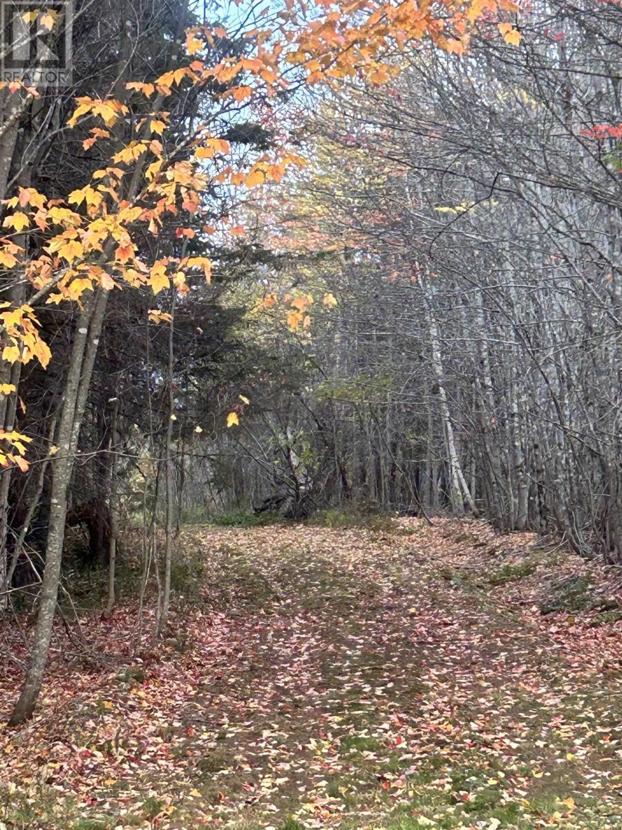 Land Highway 307 Wentworth Ns Property Photo 2