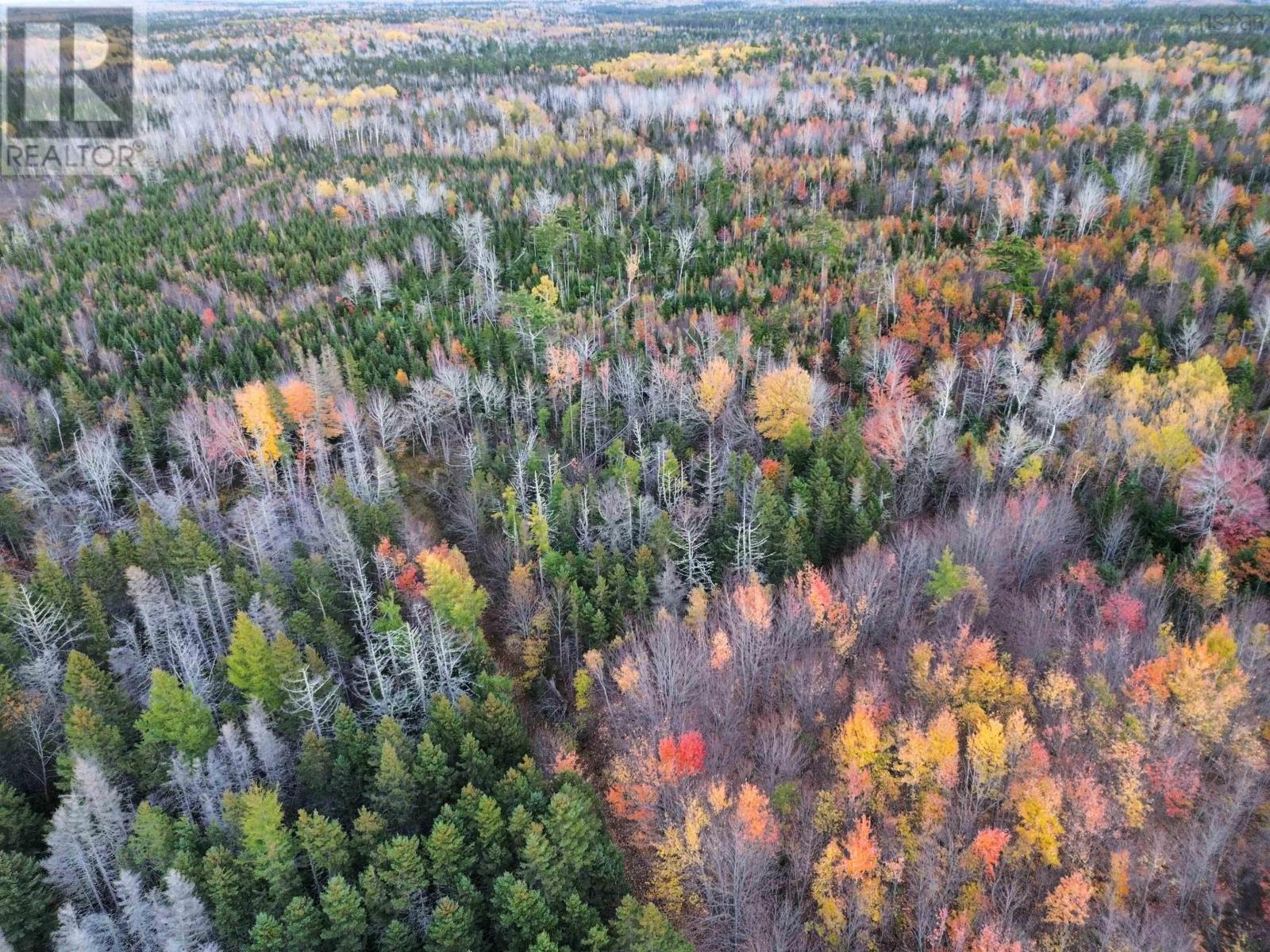Land Highway 307 Wentworth Ns Property Photo 6