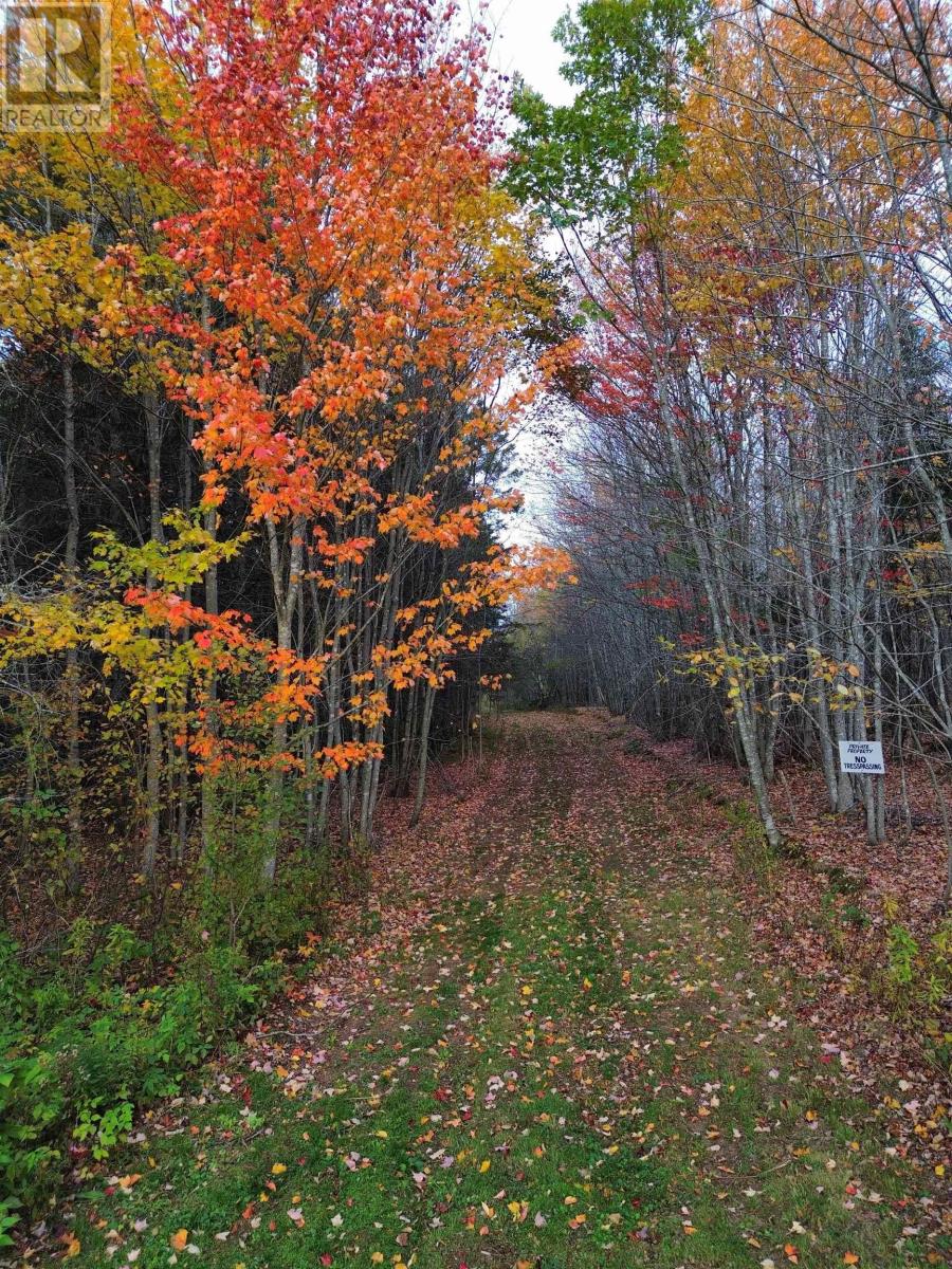 Land Highway 307 Wentworth Ns Property Photo 9