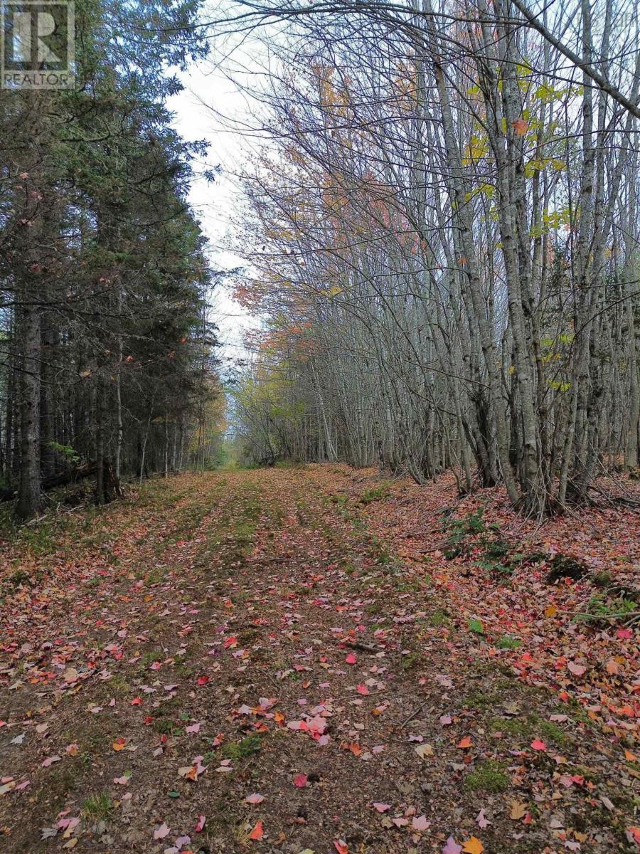 Land Highway 307 Wentworth Ns Property Photo 10