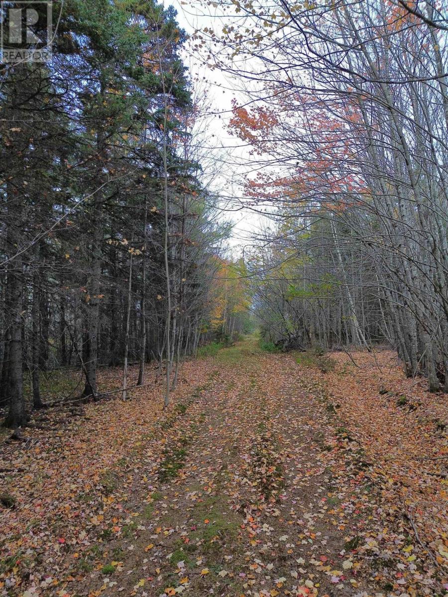 Land Highway 307 Wentworth Ns Property Photo 11