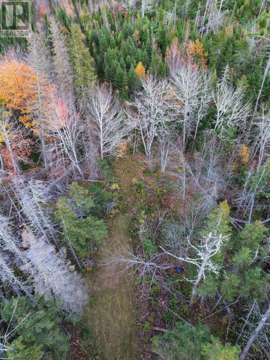 Land Highway 307 Wentworth Ns Property Photo 12