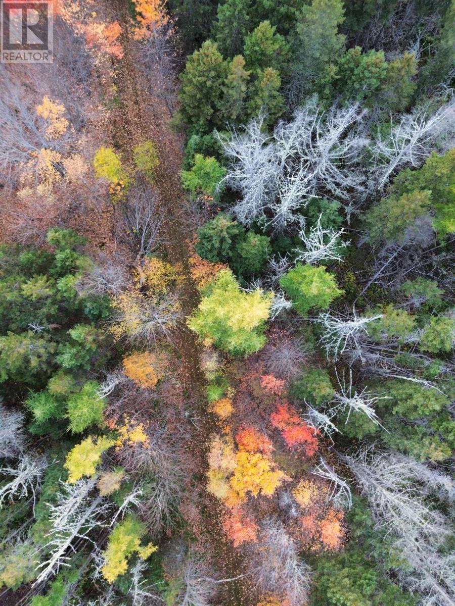 Land Highway 307 Wentworth Ns Property Photo 15