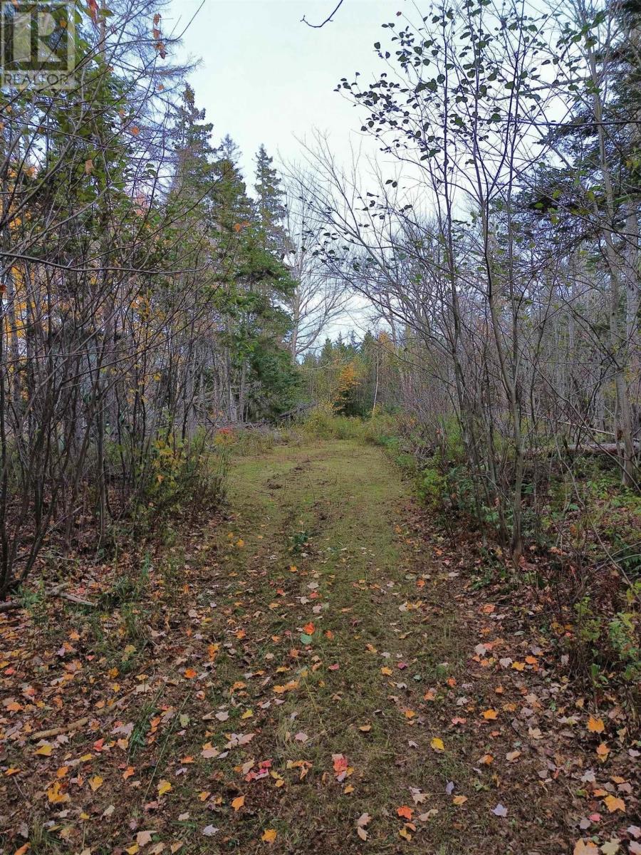 Land Highway 307 Wentworth Ns Property Photo 16