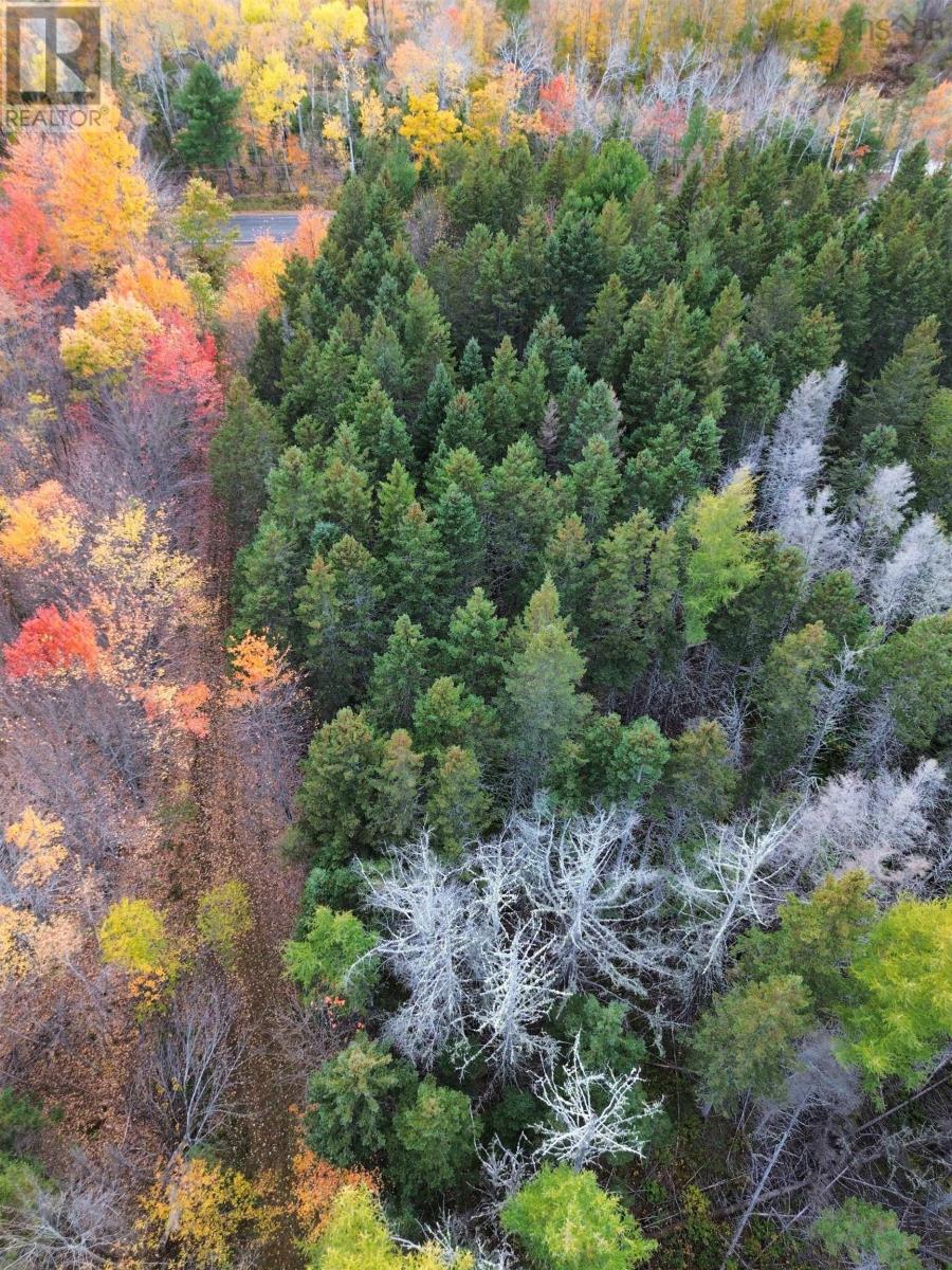 Land Highway 307 Wentworth Ns Property Photo 17