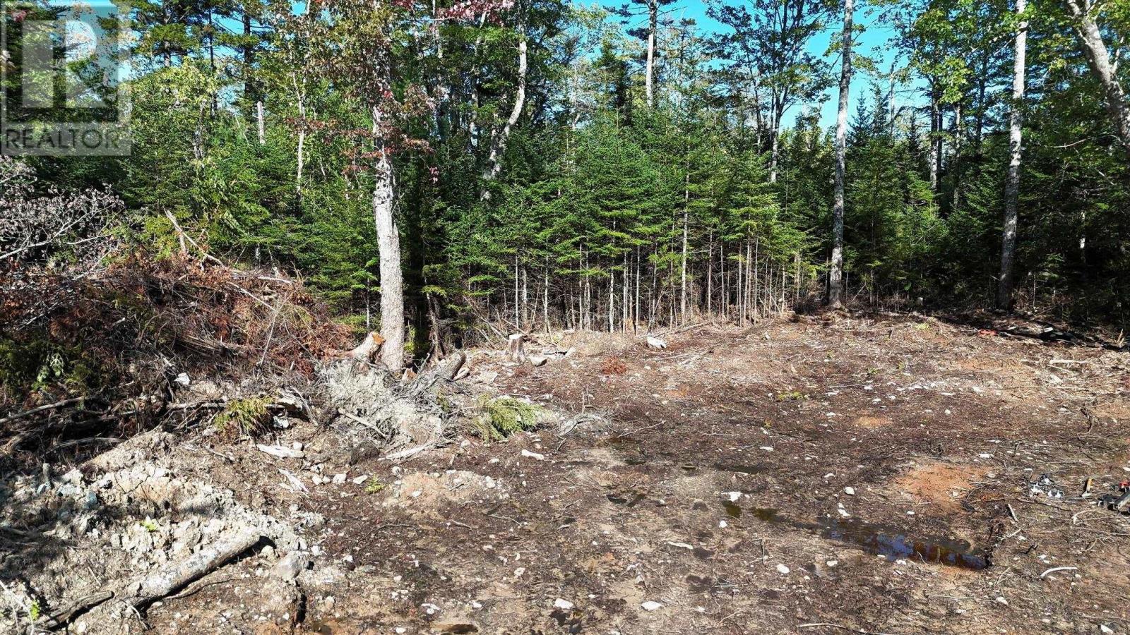 72 Shortcut Road Property Photo 5