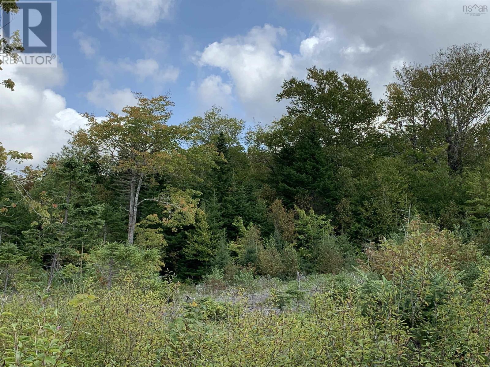 Block 1 No 316 Highway Property Photo 12