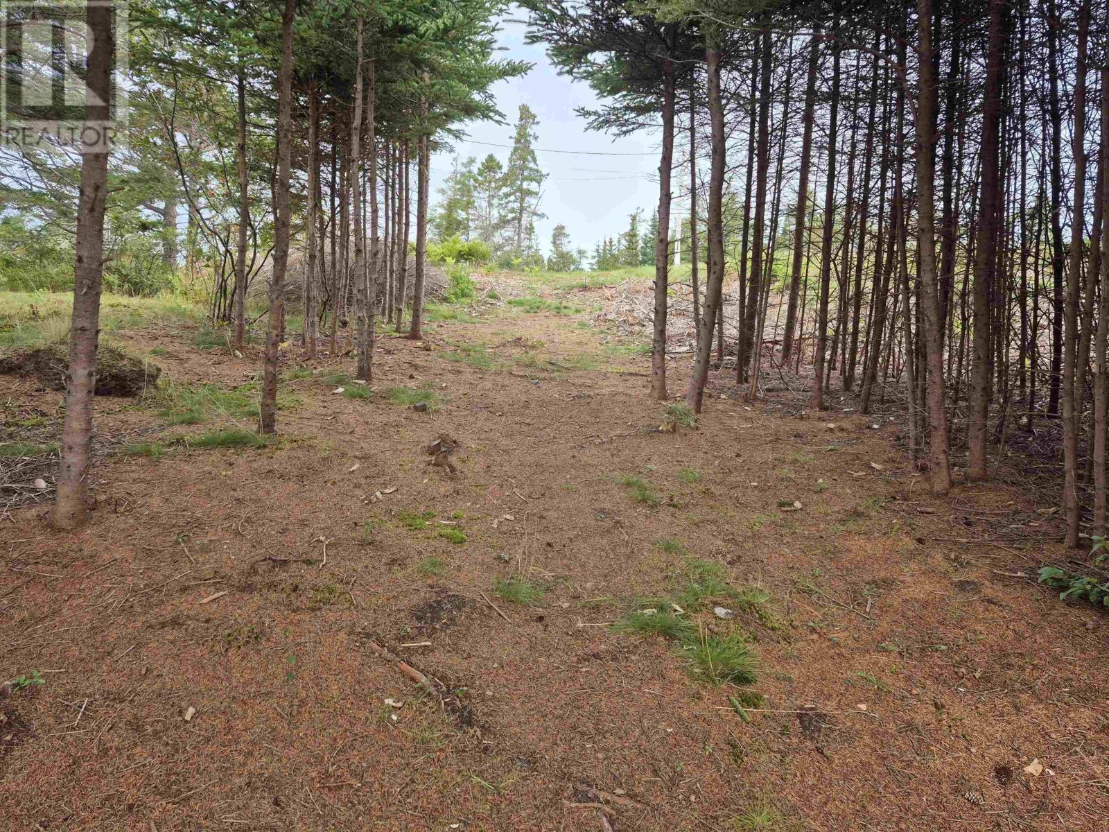 4639 Highway 7 Property Photo 19