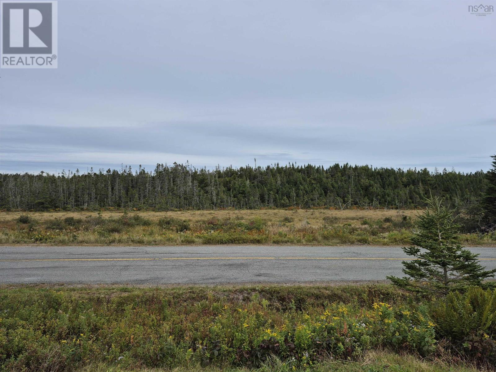 316 Little Liscomb Road Property Photo 7
